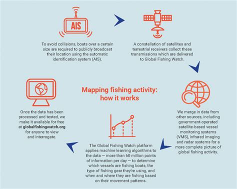 global fishing watch|Our Platform .